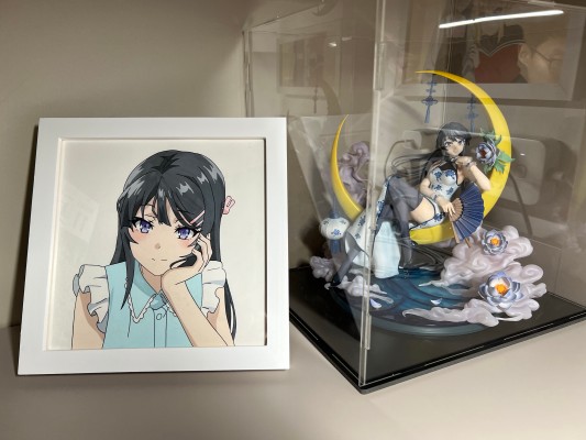 青春猪头少年不会梦到兔女郎学姐 樱岛麻衣 白色旗袍