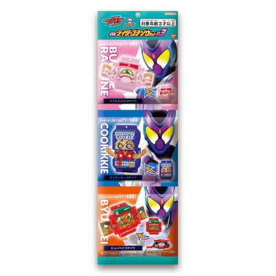 DX骑士饱藏套装03