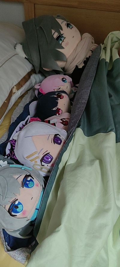 蔚蓝档案 Chocopuni 毛绒玩偶 日奈