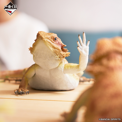 一番赏 爬行动物和两栖动物 ～小小的伙伴～ 最终大奖 鬃狮蜥玩偶 挥臂