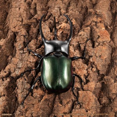 进化生物大图鉴 南洋大兜虫 展示架套装