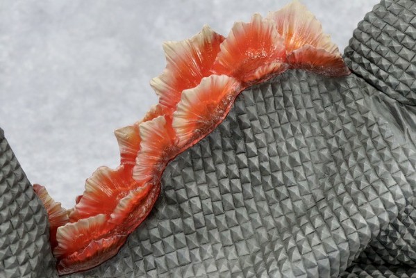 1/6特摄系列 核怪兽 基拉德拉斯  高端版