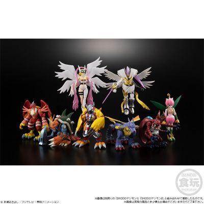 掌动 数码宝贝3