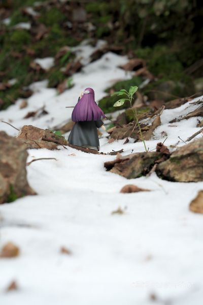 POP UP PARADE  葬送的芙莉莲 菲伦