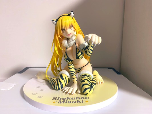 魔法禁书目录 食蜂操祈 虎纹比基尼