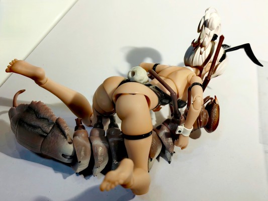 旋风兔兔号 载具 异色版