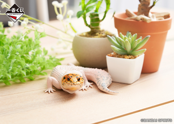 一番赏 爬行动物和两栖动物 ～小小的伙伴～ B奖 豹纹守宫玩偶 ~蜕皮中~