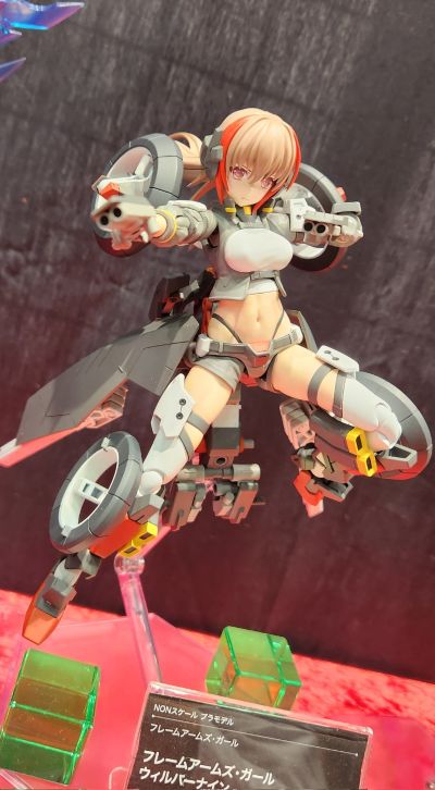 机甲少女 驱狼九式