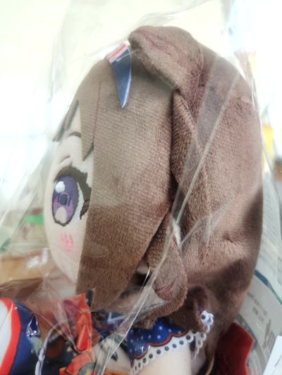 BanG Dream! 少女乐团派对 毛绒玩偶 Poppin'Party 户山香澄/花园多惠/牛込里美/山吹沙绫/市谷有咲