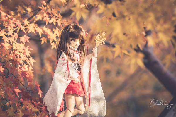 Dollfie Dream  DD 库特wafter 能美库特