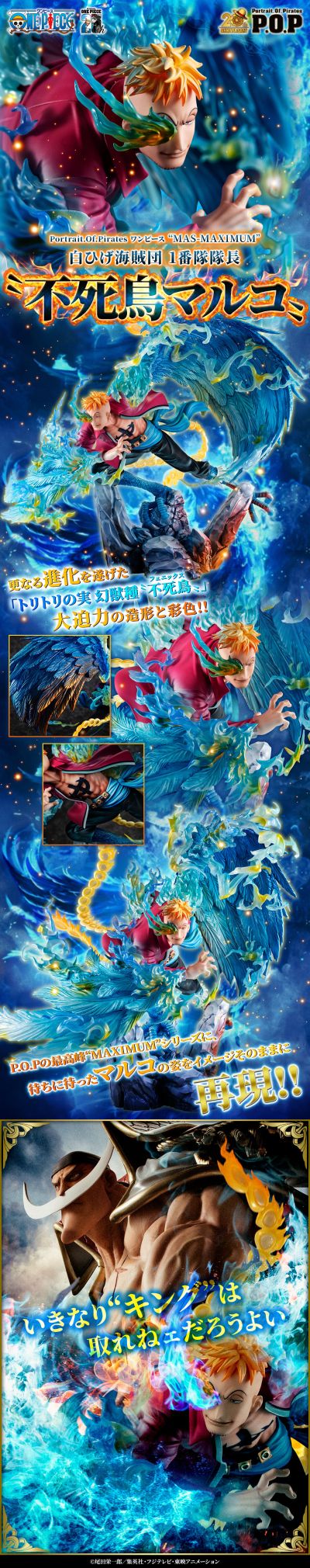 Portrait.Of.Pirates 航海王  “MAS-MAXIMUM”白胡子海盗团 1小队队长 “不死鸟马尔高”