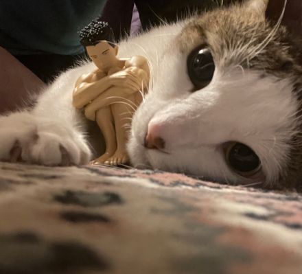 POP UP PARADE 坐吧！ 勇气爆发BANG BRAVERN 碧勇