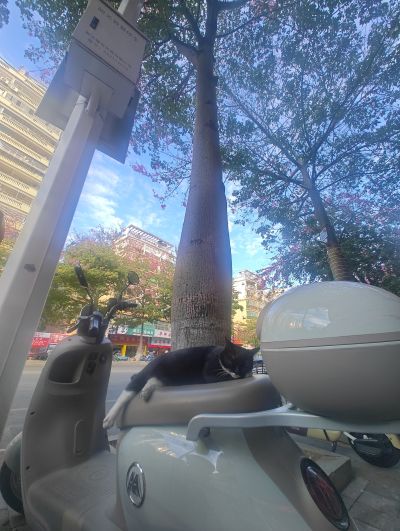 ROBOT魂 ＜SIDE AB＞  圣战士丹拜因 萨拜因 (AURA FHANTASM)