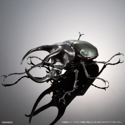 进化生物大图鉴 南洋大兜虫 展示架套装