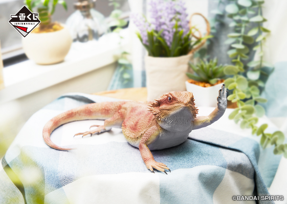 一番赏 爬行动物和两栖动物 ～小小的伙伴～ 最终大奖 鬃狮蜥玩偶 挥臂