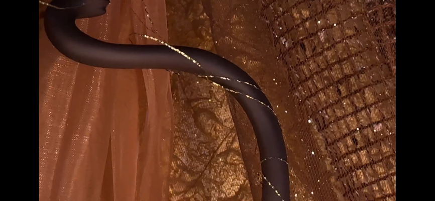 阿努比斯 Casino 裸腿版