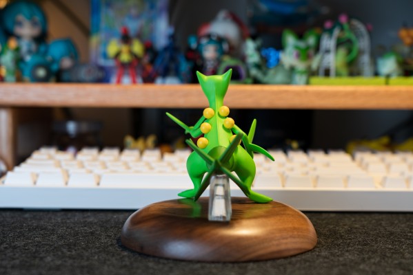 宝可梦比例世界 丰缘地区 蜥蜴王