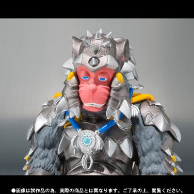 S.H.Figuarts 巴斯克与萨利（暂译）