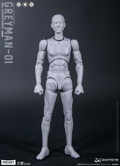 DAMTOYS 1/12 可动人形 “灰人”-NO.DPS11