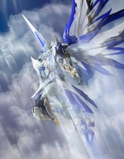 镜界山海 帝女雀·精卫