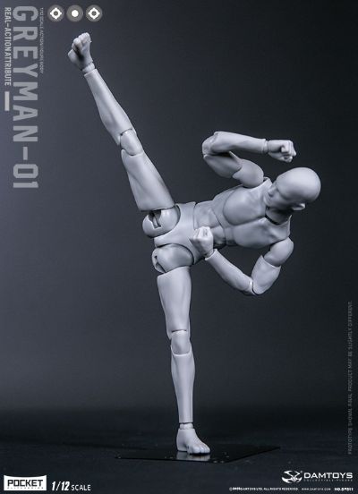 DAMTOYS 1/12 可动人形 “灰人”-NO.DPS11