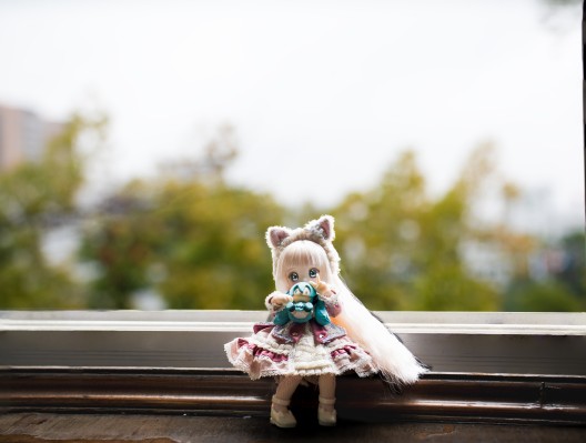 PID046-PCS Primrose × 糖果杯 / 巧克力 ～草莓牛奶猫～