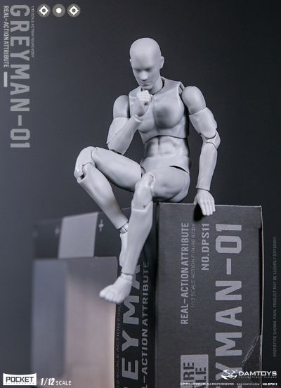 DAMTOYS 1/12 可动人形 “灰人”-NO.DPS11