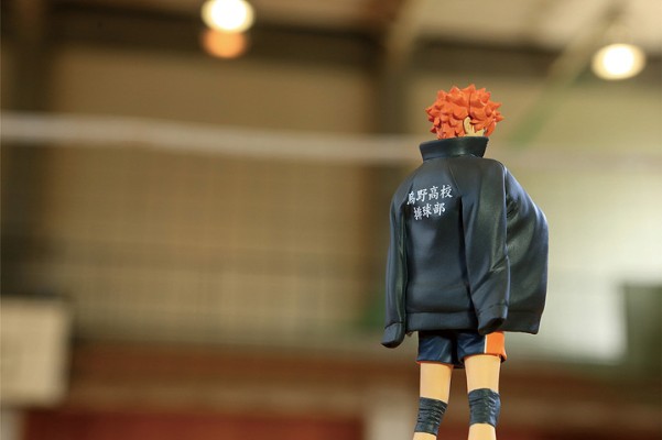 排球少年 造型師×写真家 A款 日向翔陽