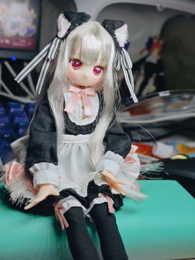 POD056-CMM Colorful Dreamin' / 芽生～梦见猫～月亮版