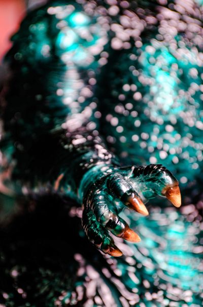 Dream系列 哥斯拉-1.0 软胶