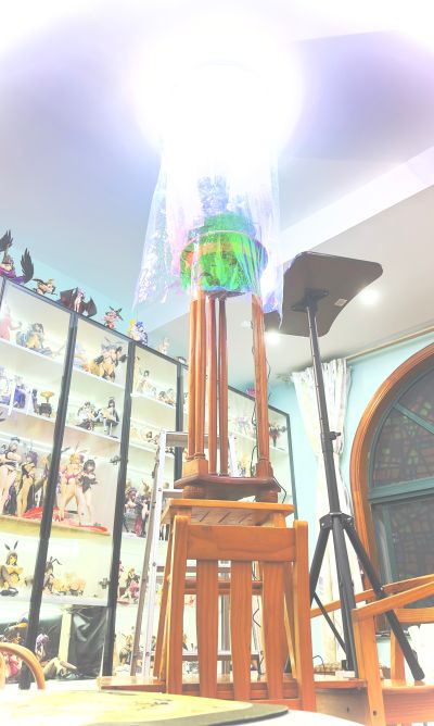 崩坏3 琪亚娜 月下猫