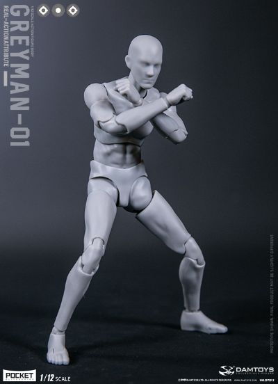 DAMTOYS 1/12 可动人形 “灰人”-NO.DPS11