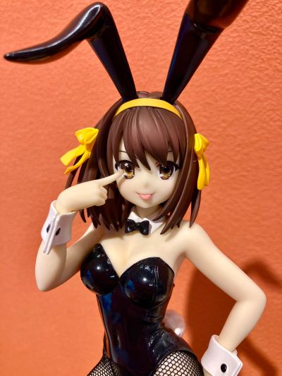 BiCute Bunnies 凉宫春日的忧郁 凉宫春日