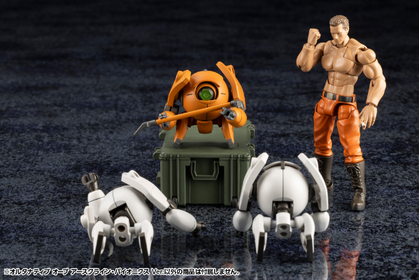 六角机牙 ALTERNATIVE ORB EARTHCLINE BIOMECHANICS