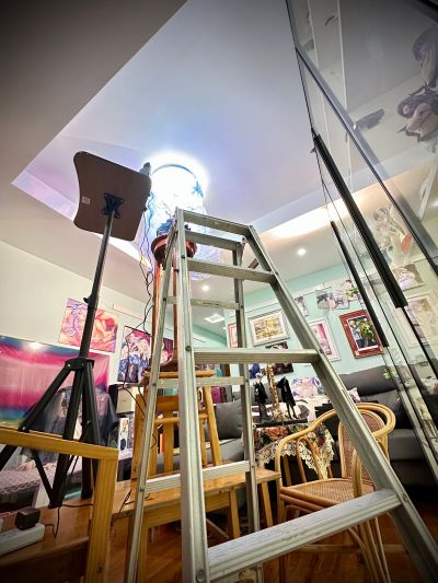 崩坏3 琪亚娜 月下猫