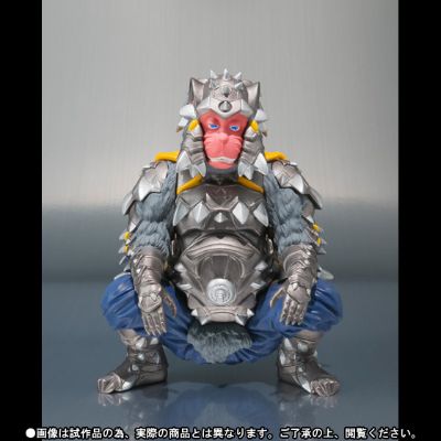 S.H.Figuarts 巴斯克与萨利（暂译）