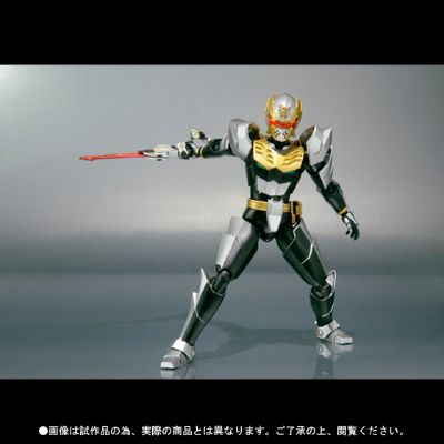 S.H.Figuarts 护星骑士（暂译）