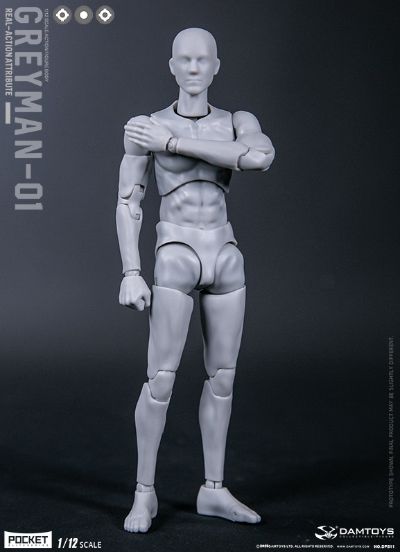 DAMTOYS 1/12 可动人形 “灰人”-NO.DPS11