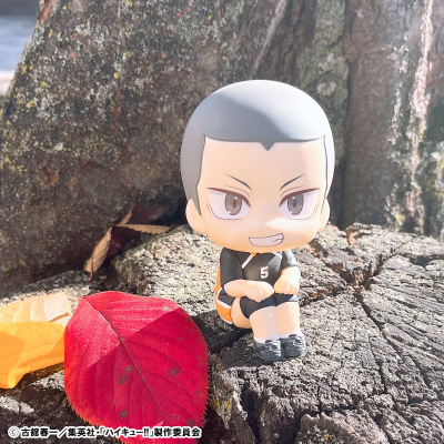 Look Up 排球少年 田中龙之介 队服