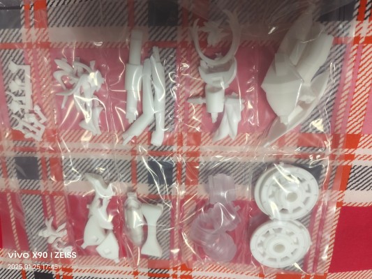 崩坏3rd 布洛妮娅 理之律者