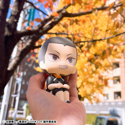 Look Up 排球少年 田中龙之介 队服