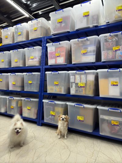 FiguartsZERO［超激战］ 火影忍者疾风传 漩涡鸣人 -仙法·熔遁螺旋手里剑-