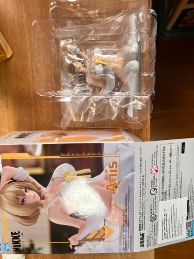 Yumemirize 胜利女神：新的希望 阿妮斯