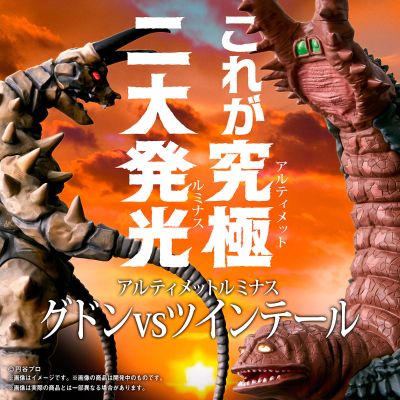 终极闪耀 古敦 VS 双尾怪