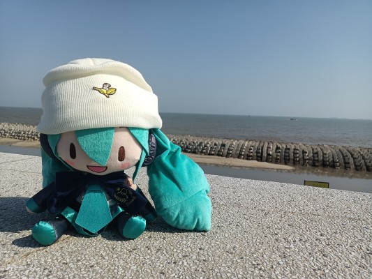 可爱软绵绵玩偶 Preciality系列 L码 初音未来