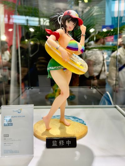 忍者大师 闪乱神乐 NEW LINK  飞鸟 泳装