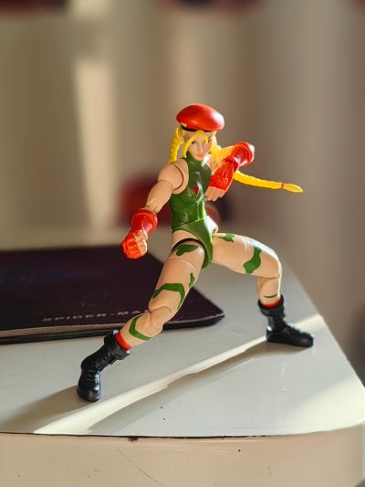 终极街霸2：最后的挑战者 嘉米·怀特