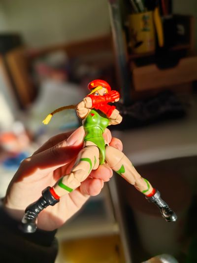 终极街霸2：最后的挑战者 嘉米·怀特