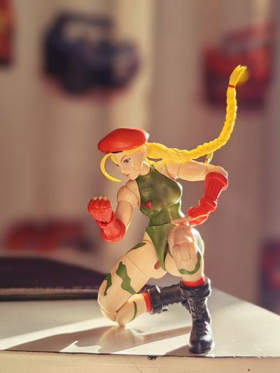 终极街霸2：最后的挑战者 嘉米·怀特