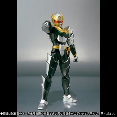 S.H.Figuarts 护星骑士（暂译）